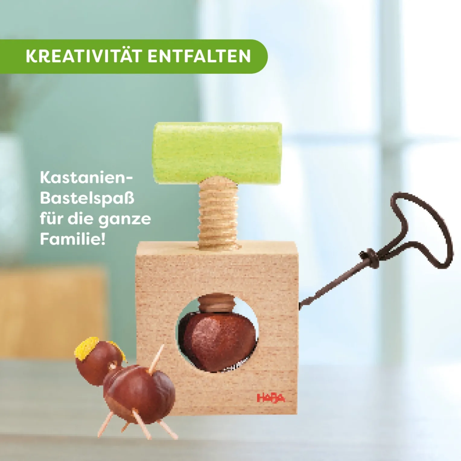 Kastanienbohrer & Nussknacker 2-in-1