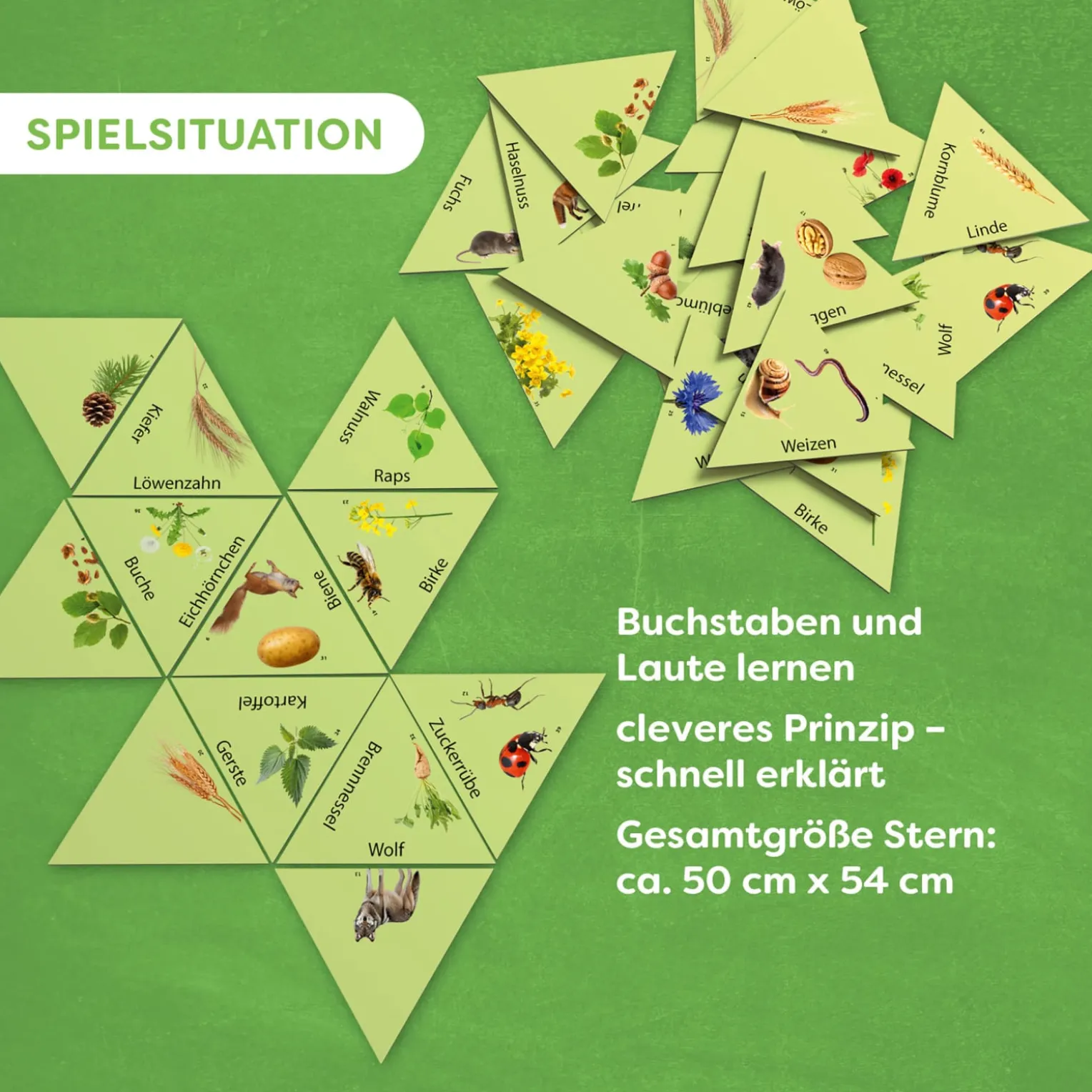 Learning Star Natur