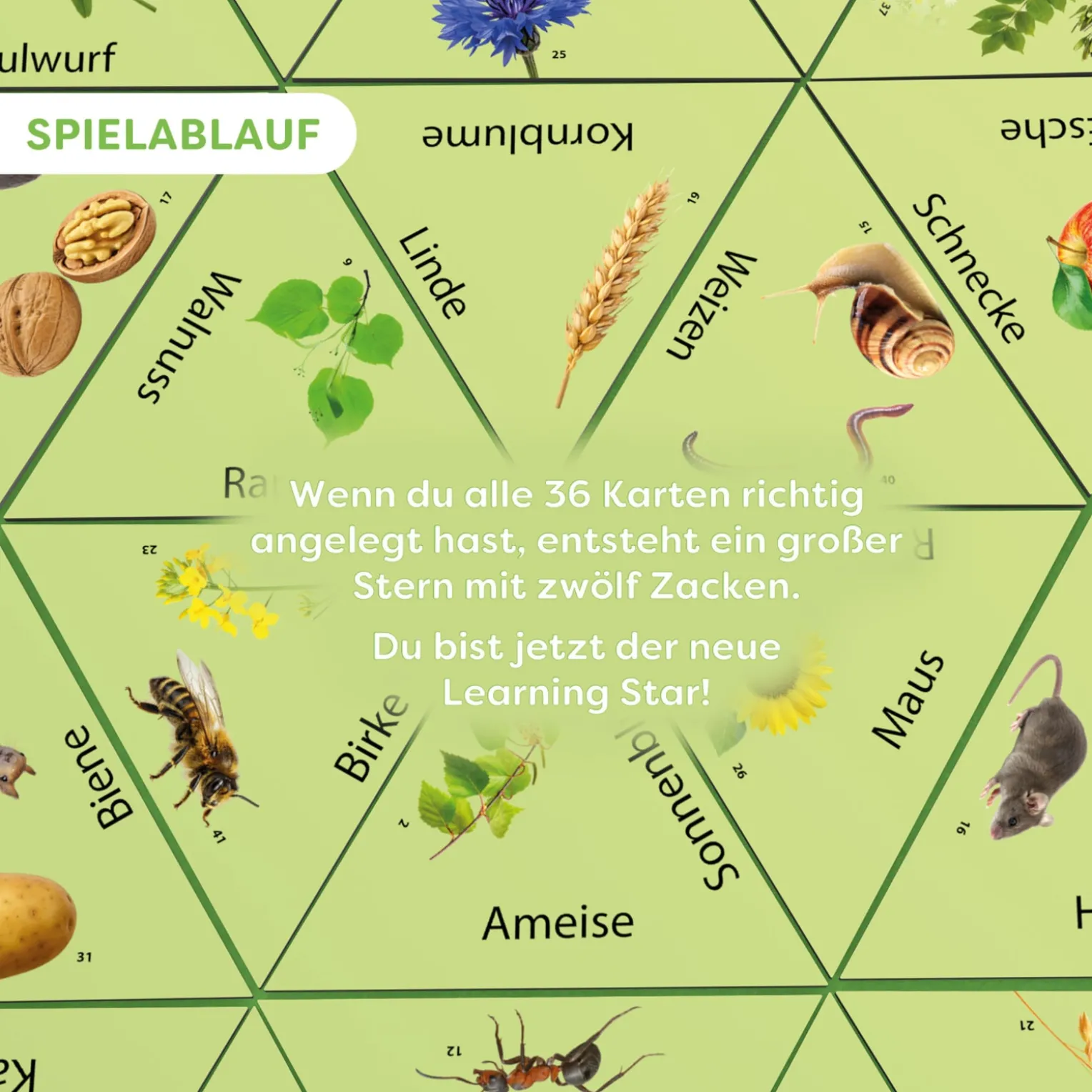 Learning Star Natur