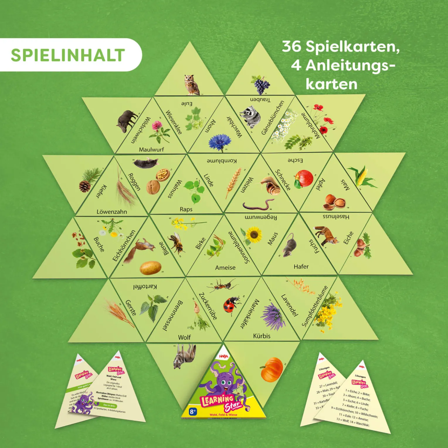 Learning Star Natur
