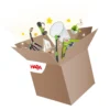 Mystery-Outdoorbox, Überraschungsbox, von 5-10 Jahren
