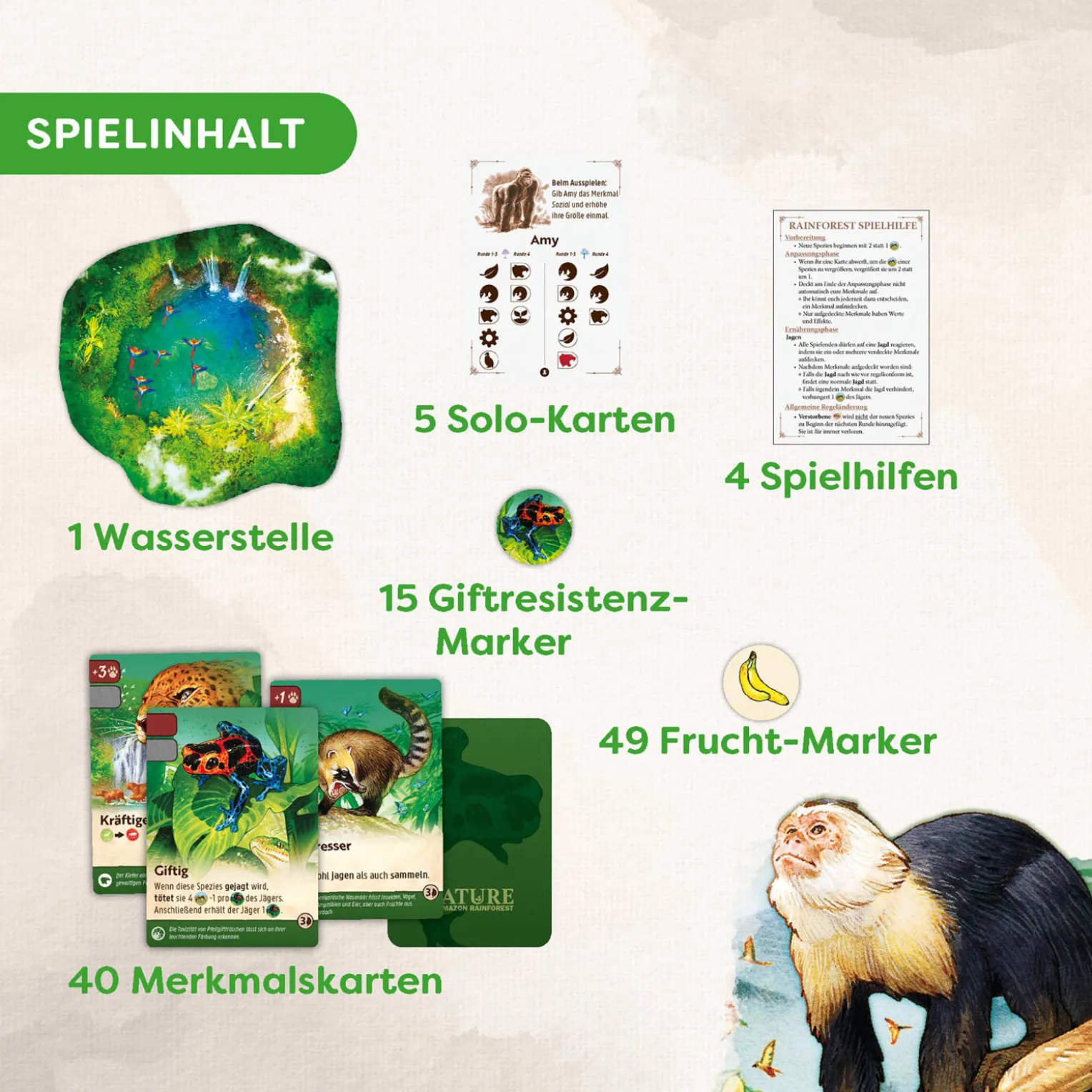 Nature Amazon Rainforest, Erweiterung Modul 5, ab 10 Jahren