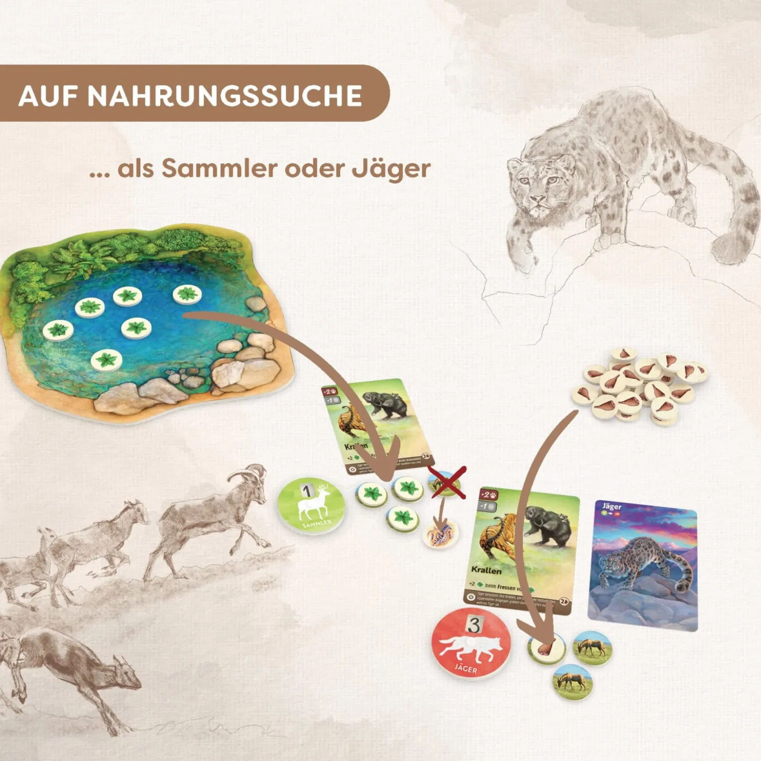 Nature, Ökosystem-Spiel, ab 10 Jahren