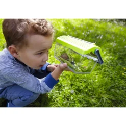 Terra Kids Insekten-Sammelbox