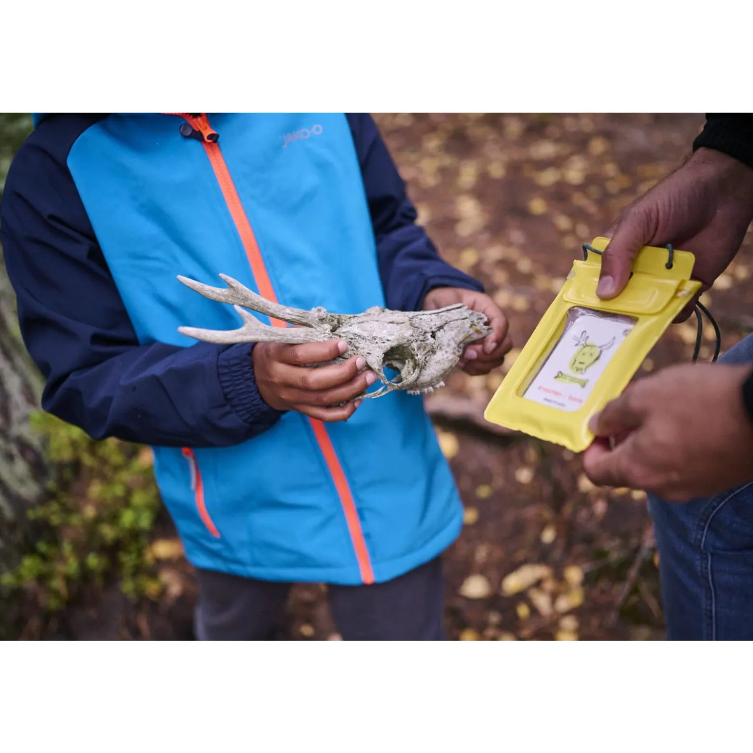 Terra Kids Outdoor Suchspiel für Kinder, Suchen & Finden, ab 4 Jahren